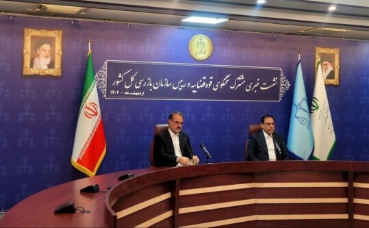 رئیس سازمان بازرسی:به گمرک درخصوص رسوب کالاهاهشدارداده بودیم